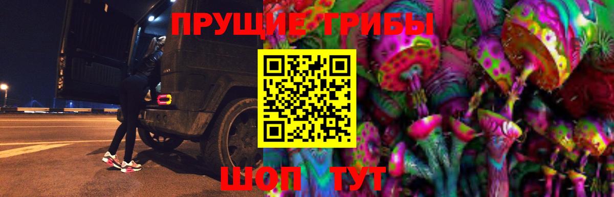 Псилоцибиновые грибы Psilocybe Муравленко