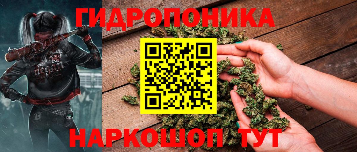 Канабис White Widow  Конопля сатива  Бошки Шишки сатива  МАРИХУАНА план  Вход с VPN  Муравленко 
